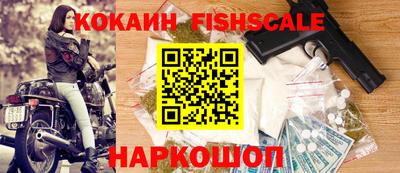 стафф Камышлов