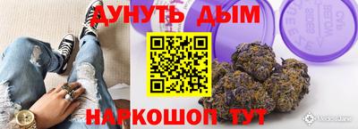 стафф Камышлов