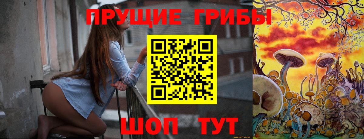 Галлюциногенные грибы Psilocybe Крымск